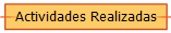 Actividades Realizadas